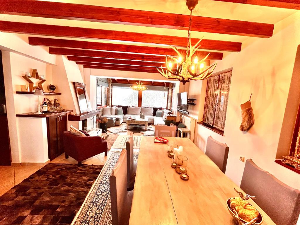 Arachova Mountain Villa room 4